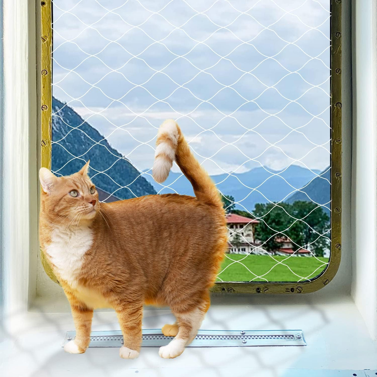 RED DE SEGURIDAD PARA GATOS