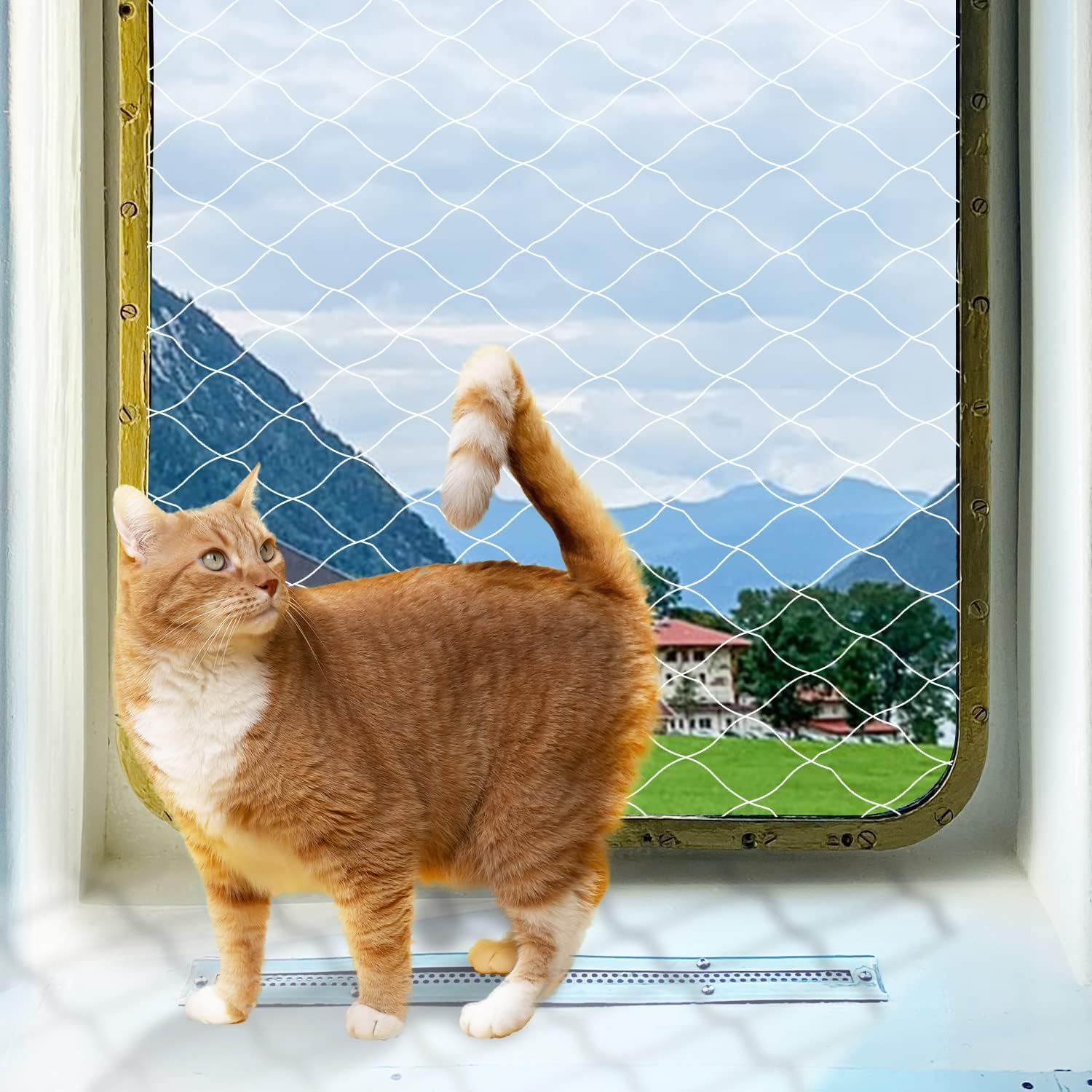 RED DE SEGURIDAD PARA GATOS